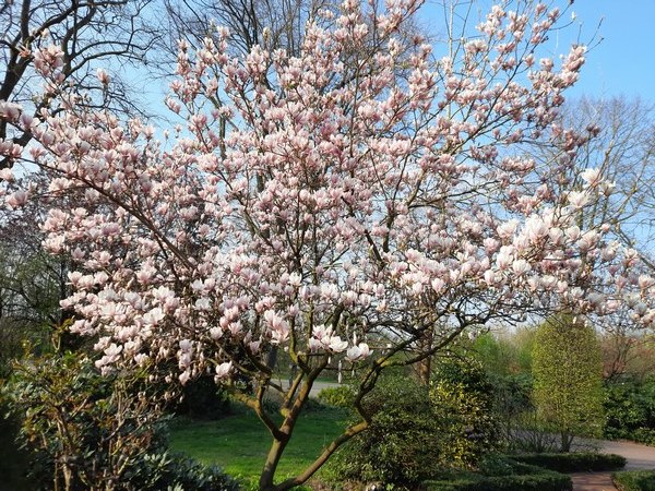 Garten der Vielfalt Friesoythe-Neuscharrel