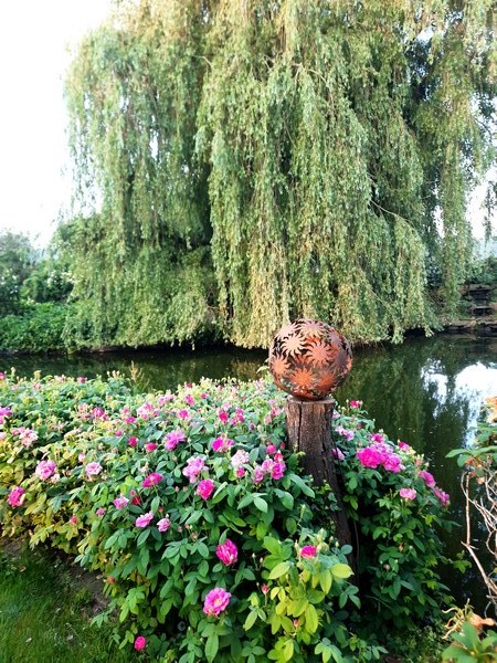  - Het Tuinpad Op / In Nachbars Garten