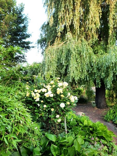 Garten der Vielfalt Friesoythe-Neuscharrel - Het Tuinpad Op / In Nachbars Garten