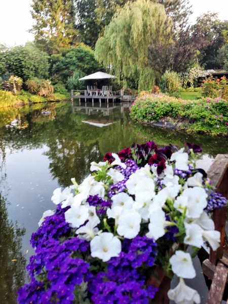 Garten der Vielfalt Friesoythe-Neuscharrel