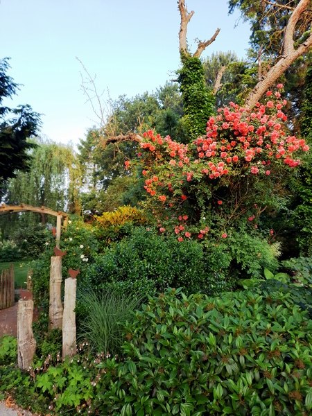  - Het Tuinpad Op / In Nachbars Garten