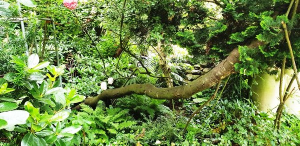  - Het Tuinpad Op / In Nachbars Garten