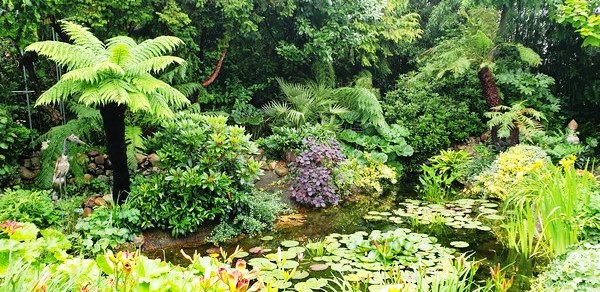  - Het Tuinpad Op / In Nachbars Garten