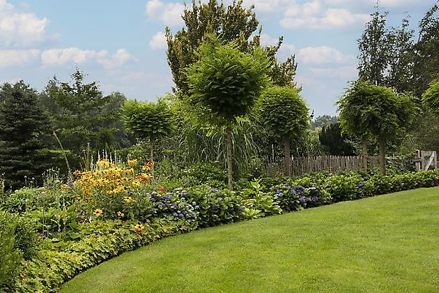  - Het Tuinpad Op / In Nachbars Garten