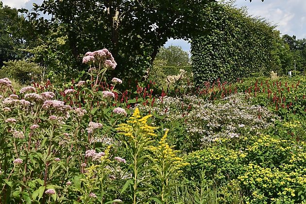 Stads/daktuin Kempkensberg Groningen