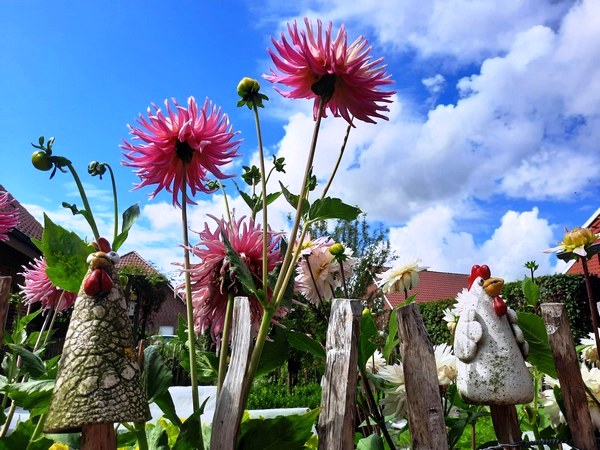 Garten Geziena Scholtalbers Weener