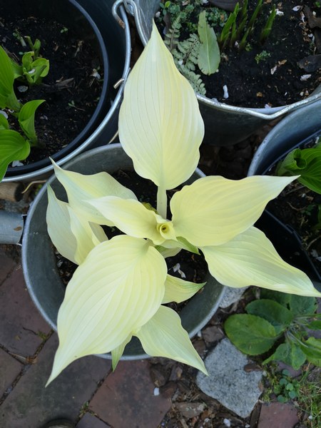 Garten am Schwarzen Brack Sande/Neustadtgödens