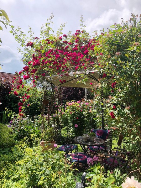 Garten am Schwarzen Brack Sande/Neustadtgödens