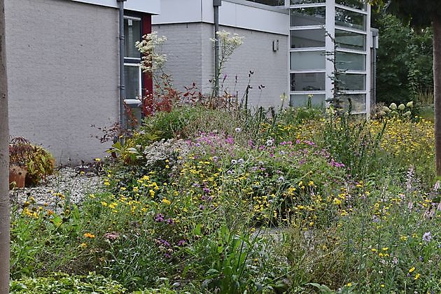  - Het Tuinpad Op / In Nachbars Garten