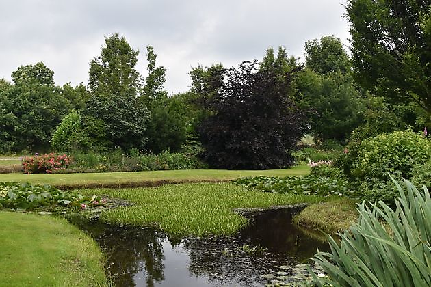  - Het Tuinpad Op / In Nachbars Garten