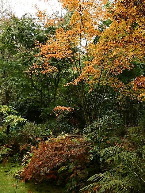 Garten der Stille Oldenburg