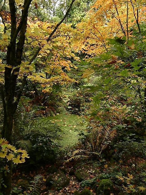 Garten der Stille Oldenburg