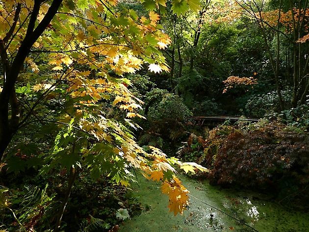 Garten der Stille Oldenburg