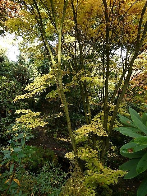 Garten der Stille Oldenburg