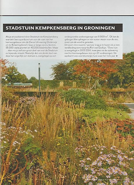 Stadt-/Dachgarten Kempkensberg Groningen