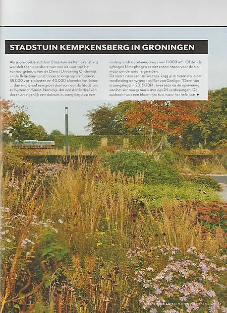 Stads/daktuin Kempkensberg Groningen