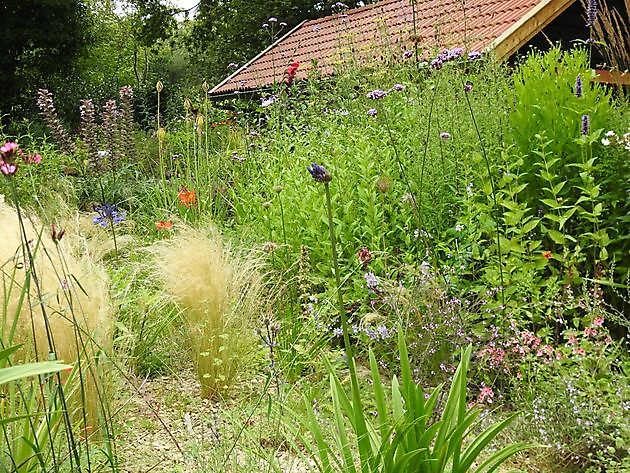 Klein Flora Westerwolde Sellingen