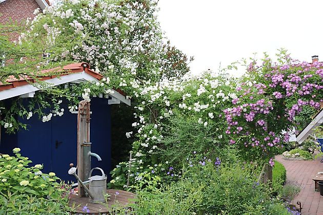 Garten beim Holze Bad Zwischenahn-Bloh