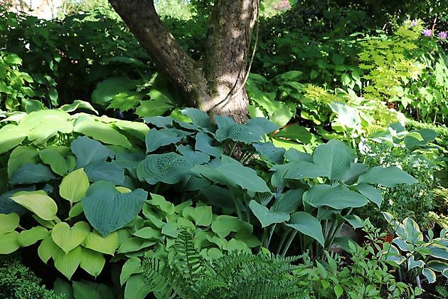 Tuin Beim Holze Bad Zwischenahn-Bloh