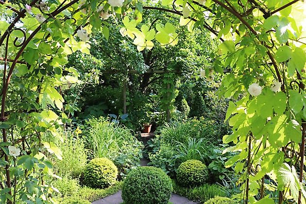  - Het Tuinpad Op / In Nachbars Garten