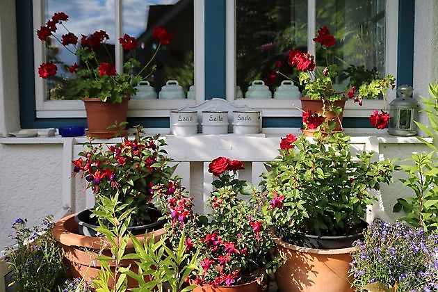 Garten beim Holze Bad Zwischenahn-Bloh