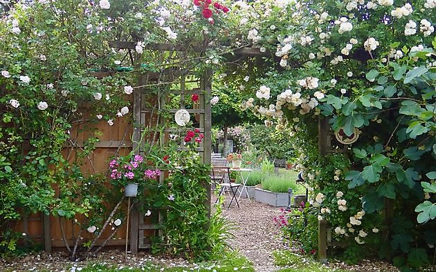  - Het Tuinpad Op / In Nachbars Garten