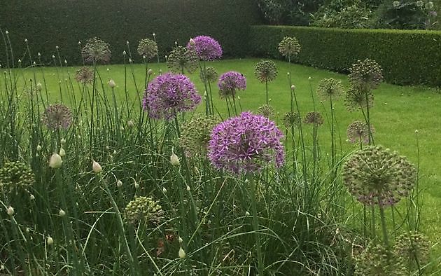  - Het Tuinpad Op / In Nachbars Garten