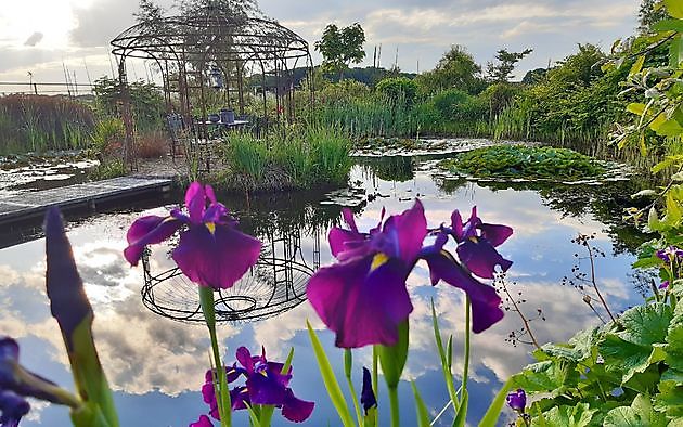  - Het Tuinpad Op / In Nachbars Garten