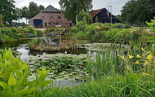  - Het Tuinpad Op / In Nachbars Garten