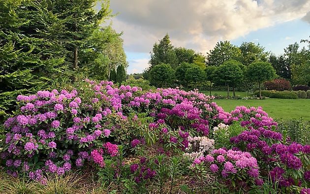  - Het Tuinpad Op / In Nachbars Garten