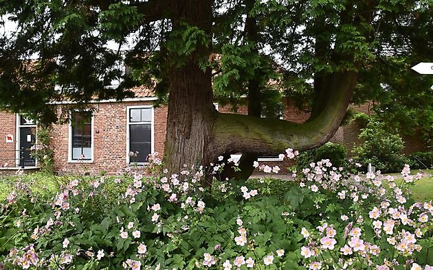 Das Freilichtmuseum Het Hoogeland Warffum