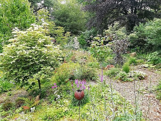 ''Hortus mille Plantarum'' (Garten der tausend Pflanzen) Wietmarschen