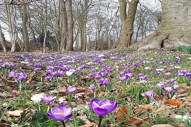  - Het Tuinpad Op / In Nachbars Garten