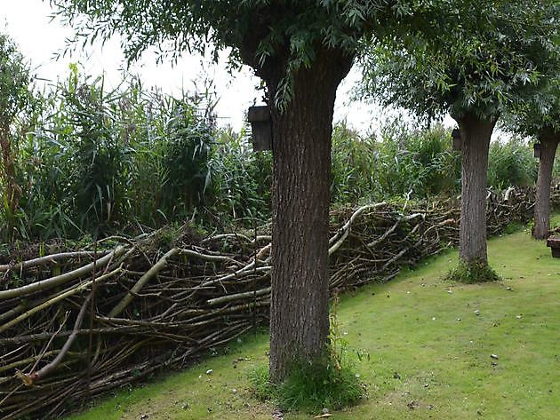  - Het Tuinpad Op / In Nachbars Garten