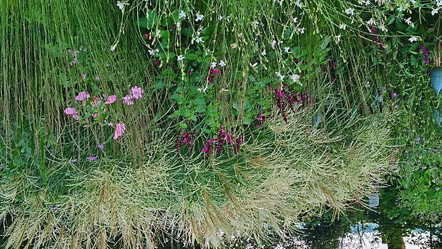  - Het Tuinpad Op / In Nachbars Garten