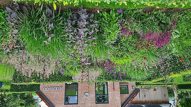 Heerloo in de Landouwen Odoornerveen