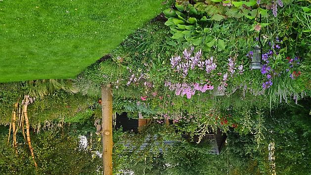Heerloo in de Landouwen Odoornerveen - Het Tuinpad Op / In Nachbars Garten