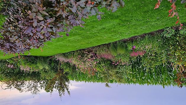 Heerloo in de Landouwen Odoornerveen