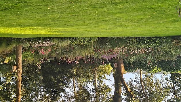 Heerloo in de Landouwen Odoornerveen - Het Tuinpad Op / In Nachbars Garten