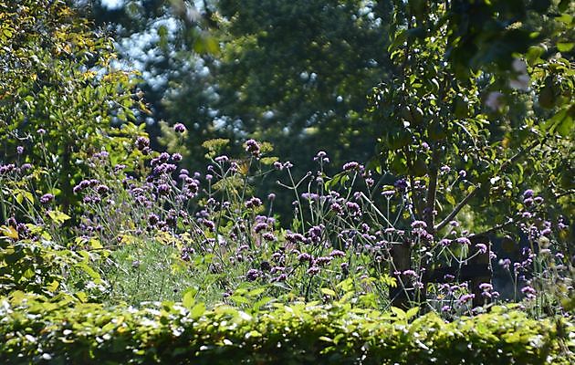 De Boerderijtuin Beerta