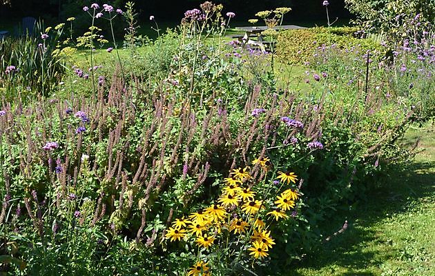 De Boerderijtuin Beerta