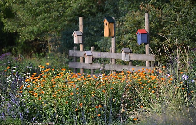  - Het Tuinpad Op / In Nachbars Garten