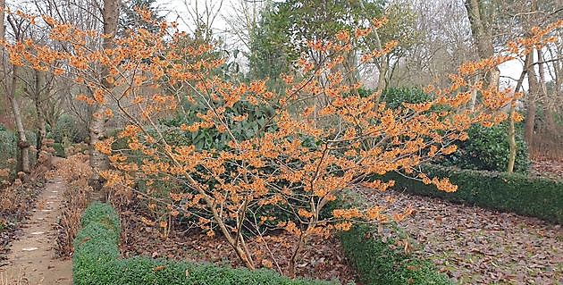  - Het Tuinpad Op / In Nachbars Garten