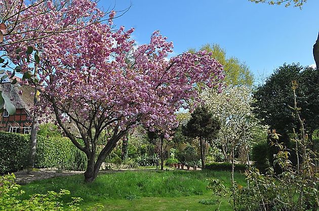 Arboretum Neuenkoop Berne