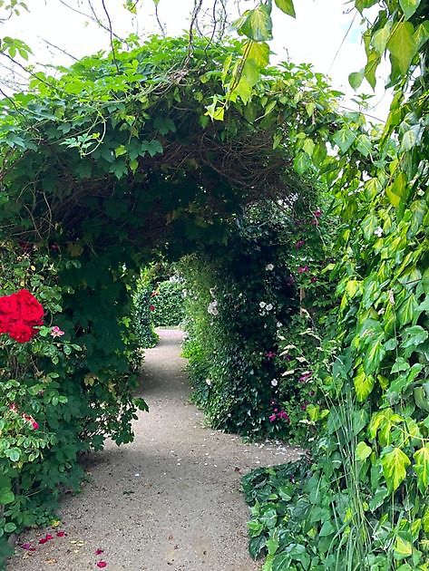  - Het Tuinpad Op / In Nachbars Garten