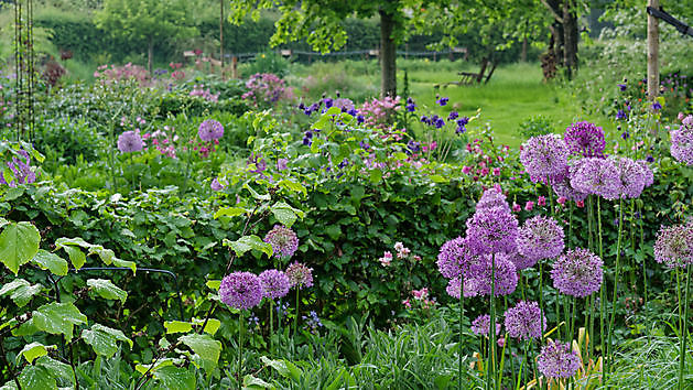 Blumengarten Buinen