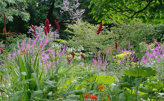 Garten Marie José Tepe Eelde
