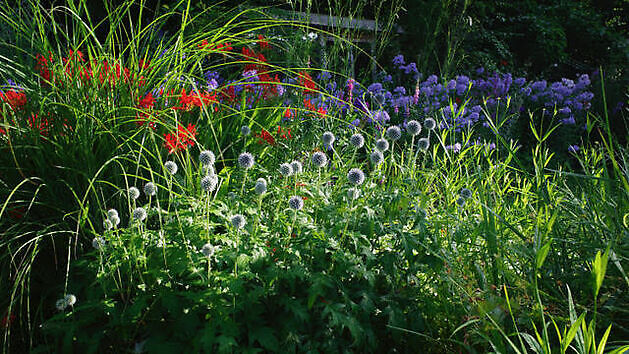 Garten Marie José Tepe Eelde