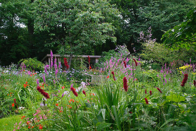 Garten Marie José Tepe Eelde