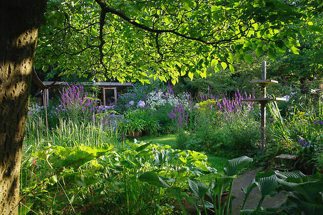 Garten Marie José Tepe Eelde